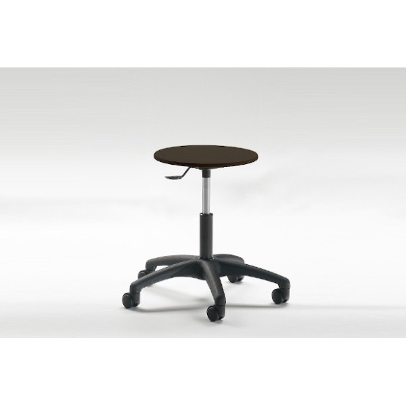 Sbagello laboratorio con ruote nero regolabile a g